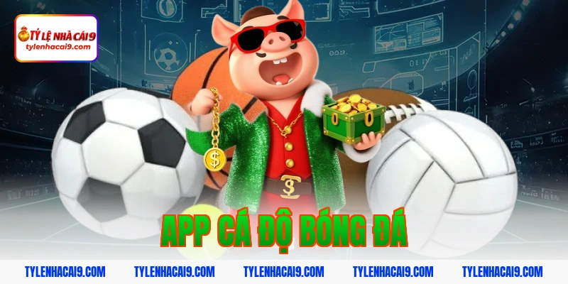 Kinh nghiệm lựa chọn app cá độ bóng đá uy tín an toàn nhất 1 app cá độ bóng đá
